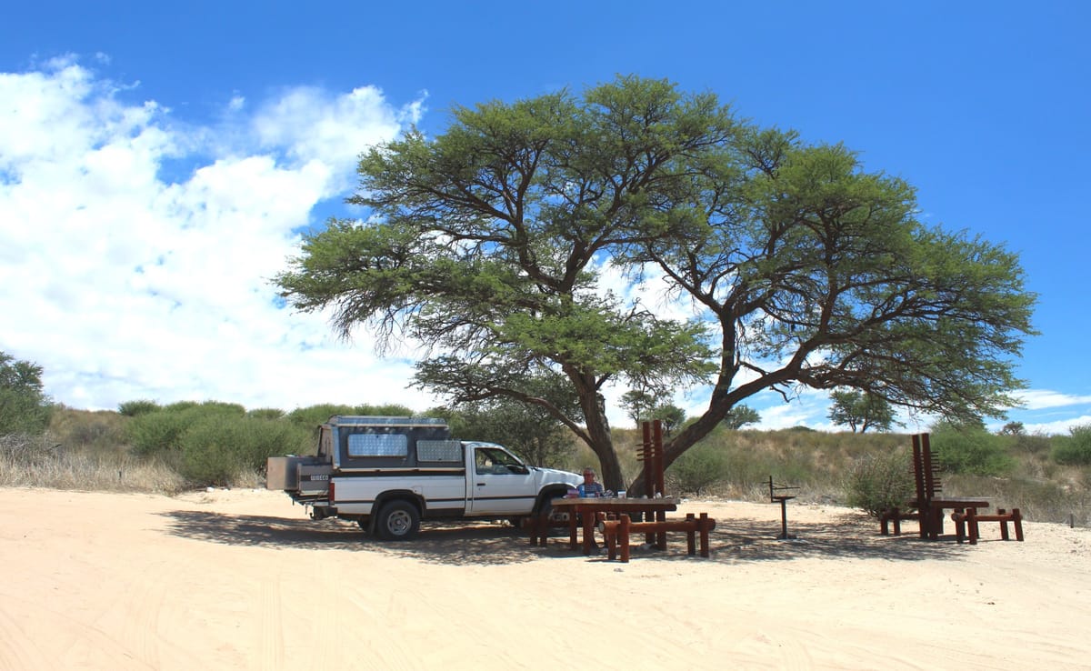 Coffee, tea, and other rituals in the wild