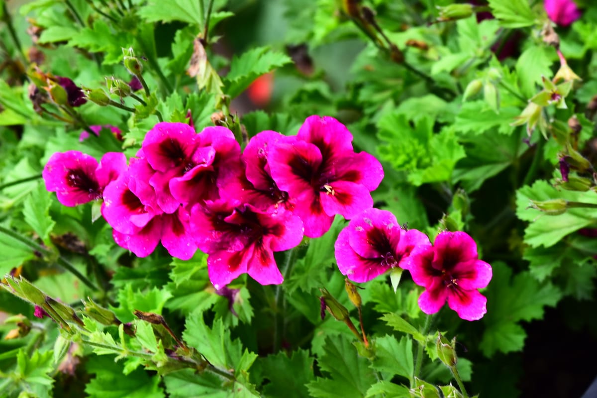 Staying put: A destination with no passport required