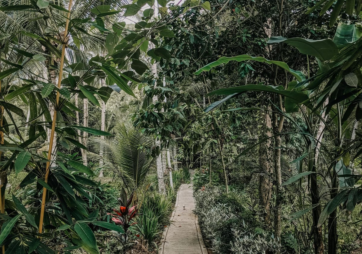 The shade garden oasis: thriving where the sun doesn't shine