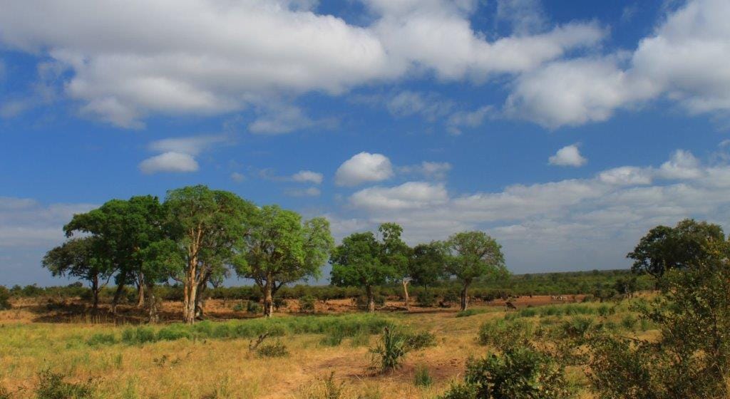 Does Limpopo have anything to offer a traveller?