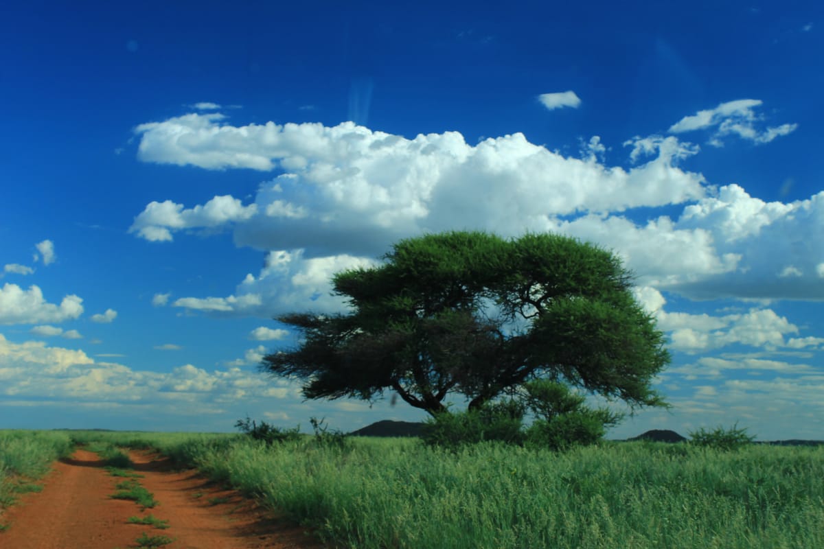 Lesser-known national parks in South Africa