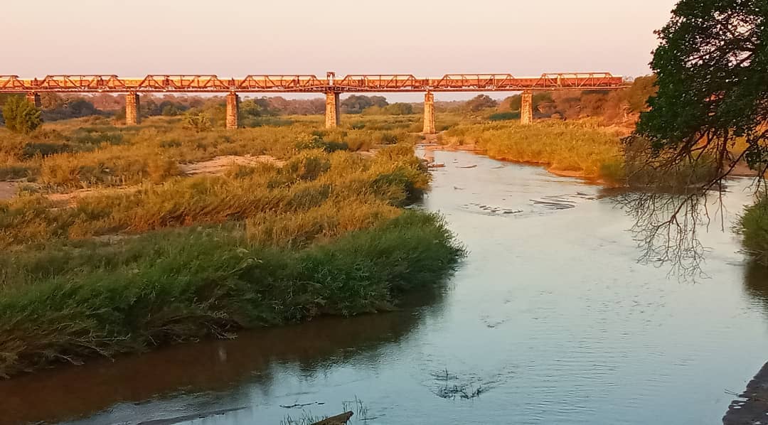 7 Novel facts not everybody  knows about Skukuza