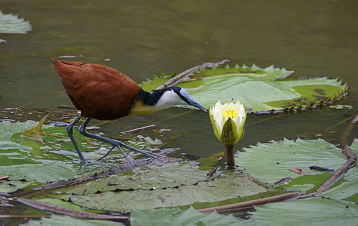 Where can I travel to in February?