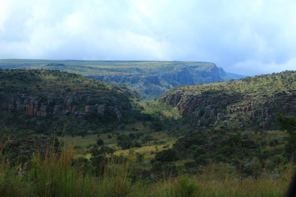 Keep your eyes on the road, but…