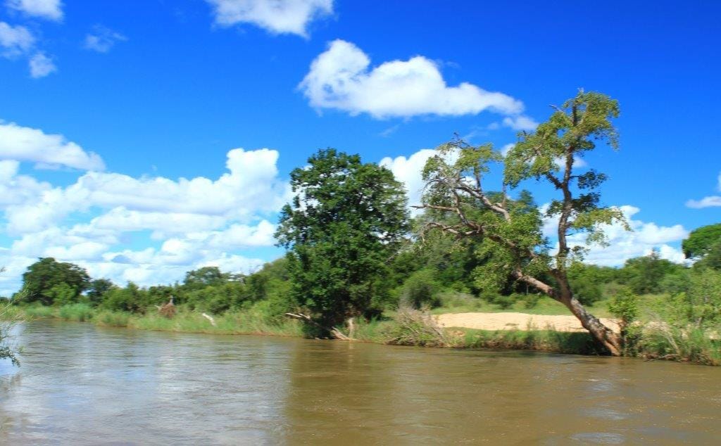 Kruger National Park after the January 2026 floods