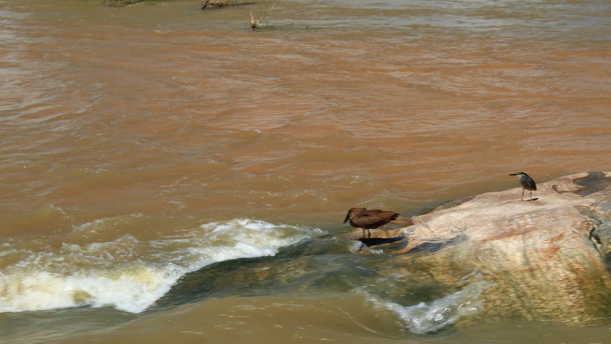 Winter is Kruger time: how recent floods have reshaped South Africa’s iconic park