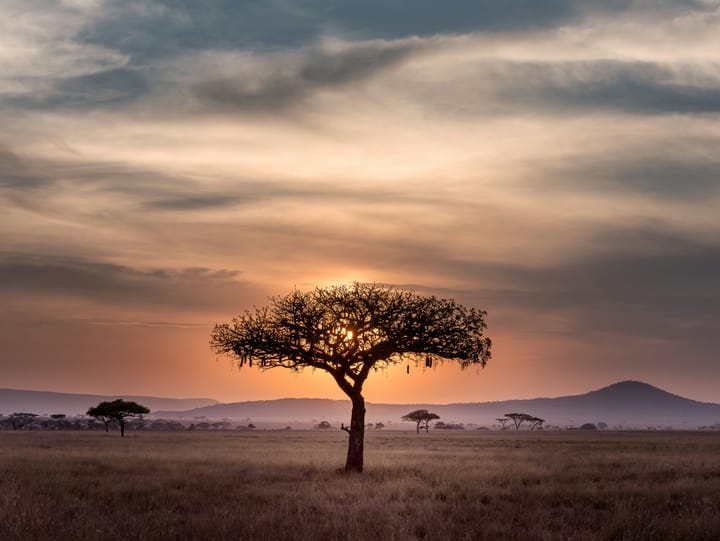 Journey through Southern Africa's untamed landscapes
