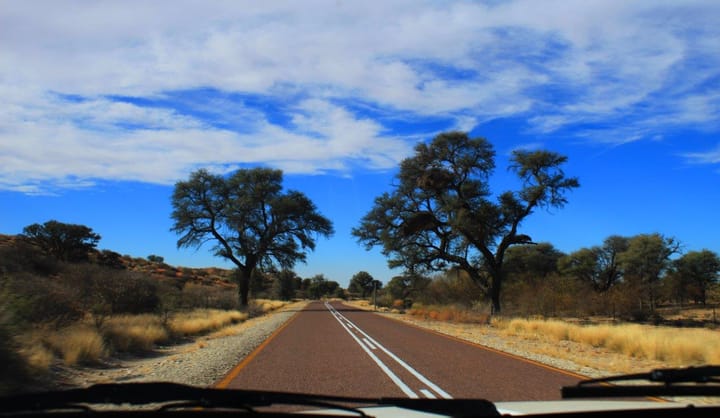 Driving into stillness with mindfulness behind the wheel