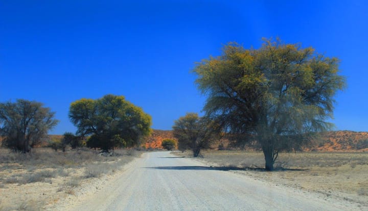 The psychology of the open road