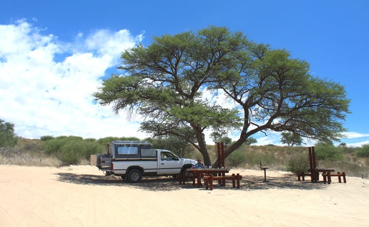 Coffee, tea, and other rituals in the wild