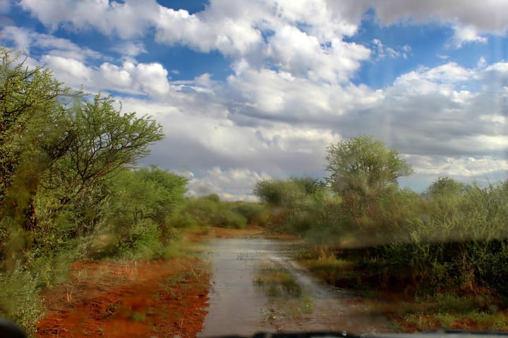 Wet roads and wild places: navigating tar and gravel after rain