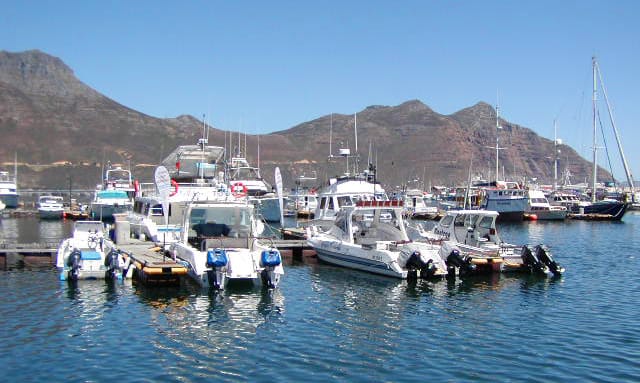 Survive Cape Town in high season and even enjoy the summer stampede