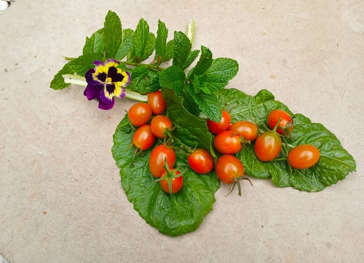 Eating sound, even while travelling
