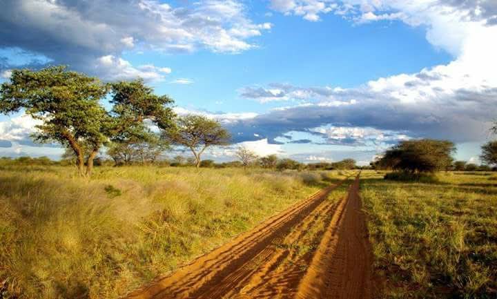 What about multi-country trips across southern Africa?