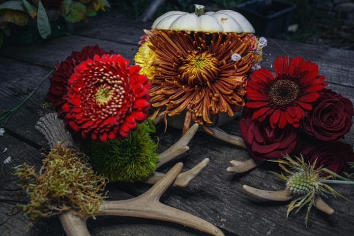 Easy living starts at home