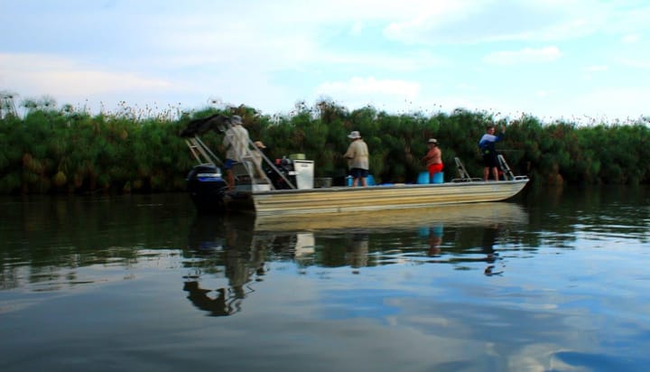 Don’t get swamped by the majesty of Botswana’s Okavango Delta