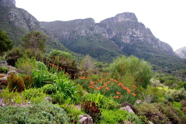 Botanical gardens to visit during your travels in Southern Africa