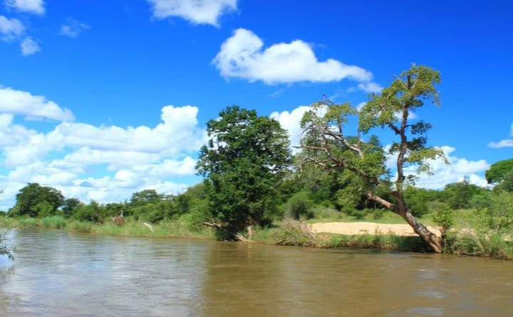 Kruger National Park after the January 2026 floods
