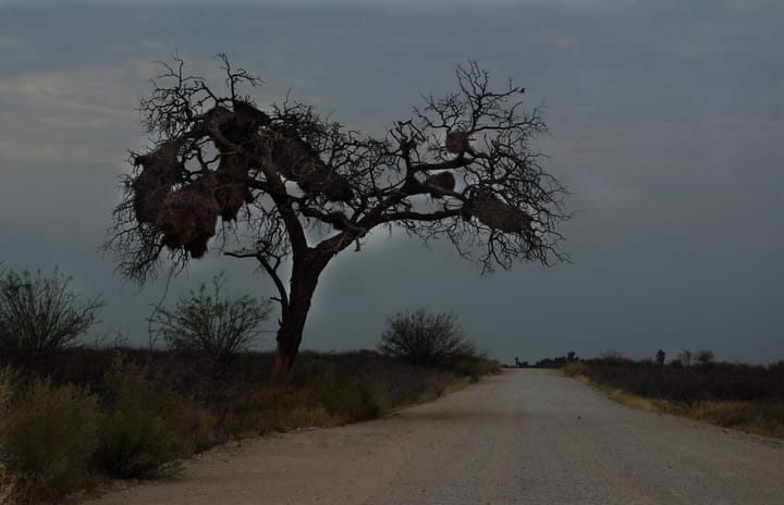 Exploring the Northern Cape: SA’s land of vast horizons